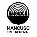 Mancuso Tree Removal, LLC logo